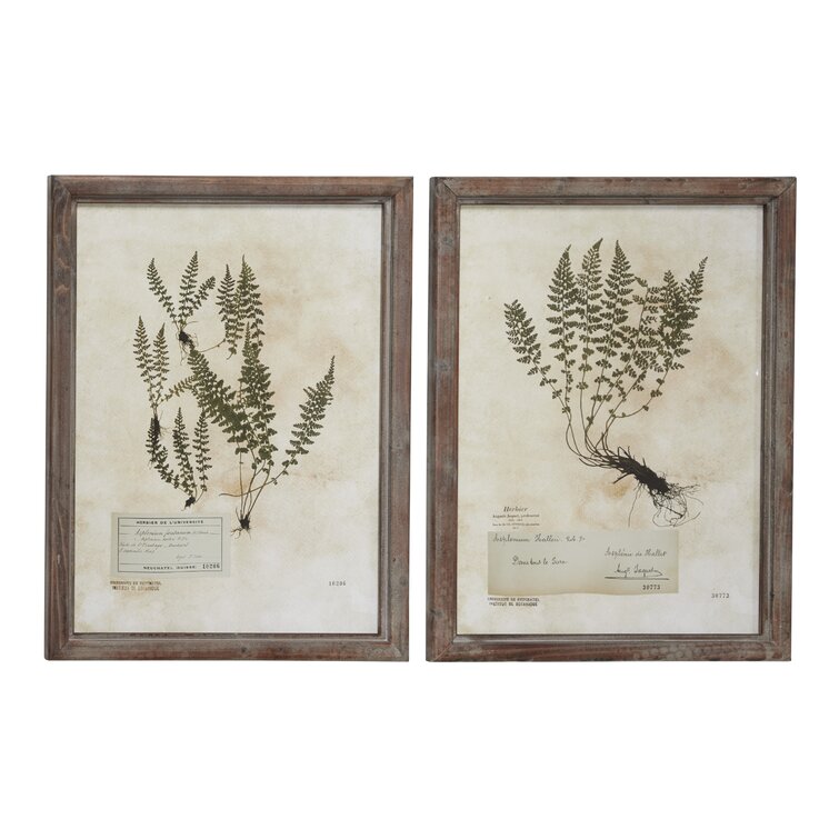 Large, Rectangular French Vintage Botanical Prints Framed On Wood 2 Pieces  Painting